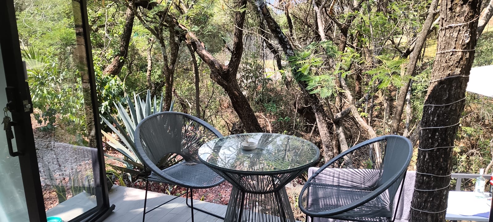 Terraza de Peña del Río rodeada de naturaleza
